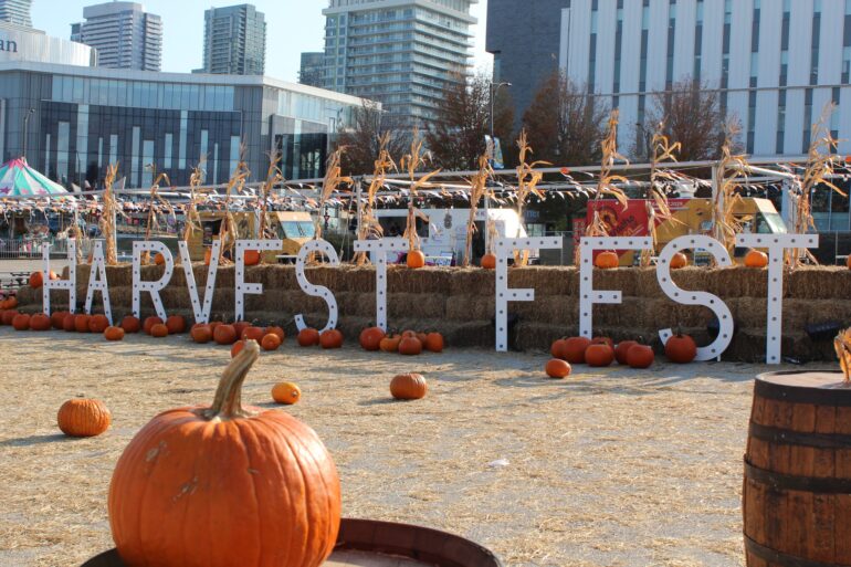 Harvest Fest is spelled out in giant letters on the ground, with pumpkins scattered around and rows of haystacks in the background.