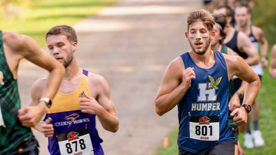 Hawks’ cross-country team thinks joy, suffering possible the same time