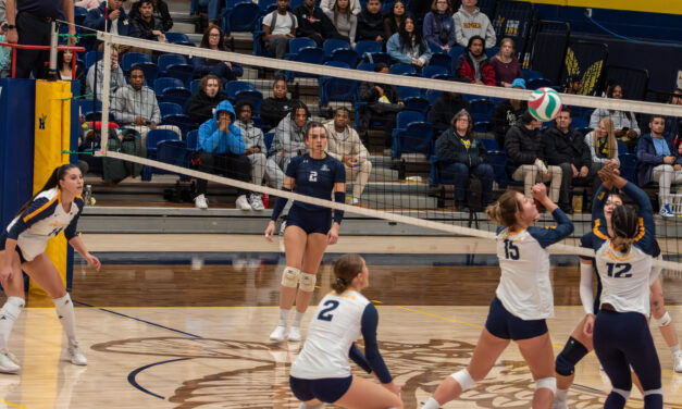 Hawks women’s volleyball team reaches  holiday break with a perfect 11-0 streak