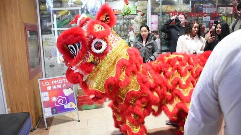 A red dragon posing during the dragon dance.