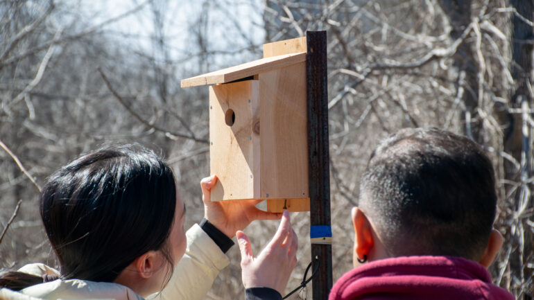 Bird box, Humber Arboretum, nature