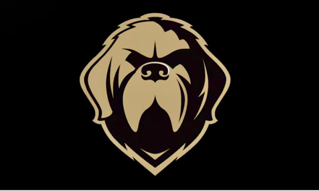 Sudden loss of ECHL’s Newfoundland Growlers leaves fans shocked