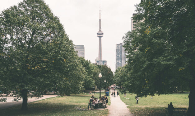 Toronto branches out with an online tool to promote tree equity
