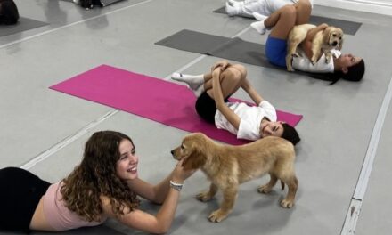 Puppies a growing addition to the yoga world